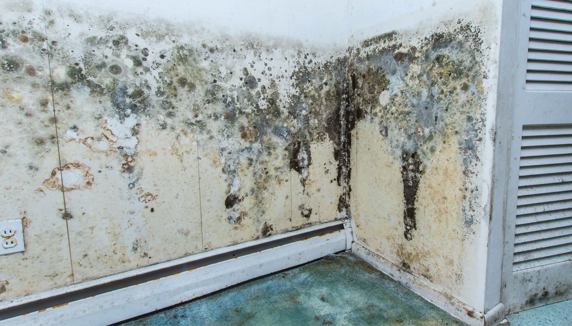 Mold-Damager-Odor-Control in Perezville