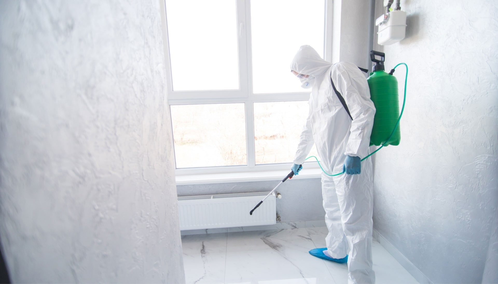 Mold-Inspection in Perezville